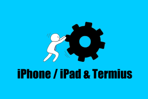 iPhone/iPad苹果用户使用 Termius应用连接并管理搬瓦工VPS教程