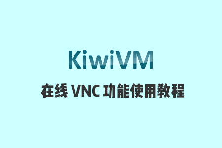 搬瓦工KiwiVM面板VNC控制台（Interactive Shell）功能介绍和使用教程